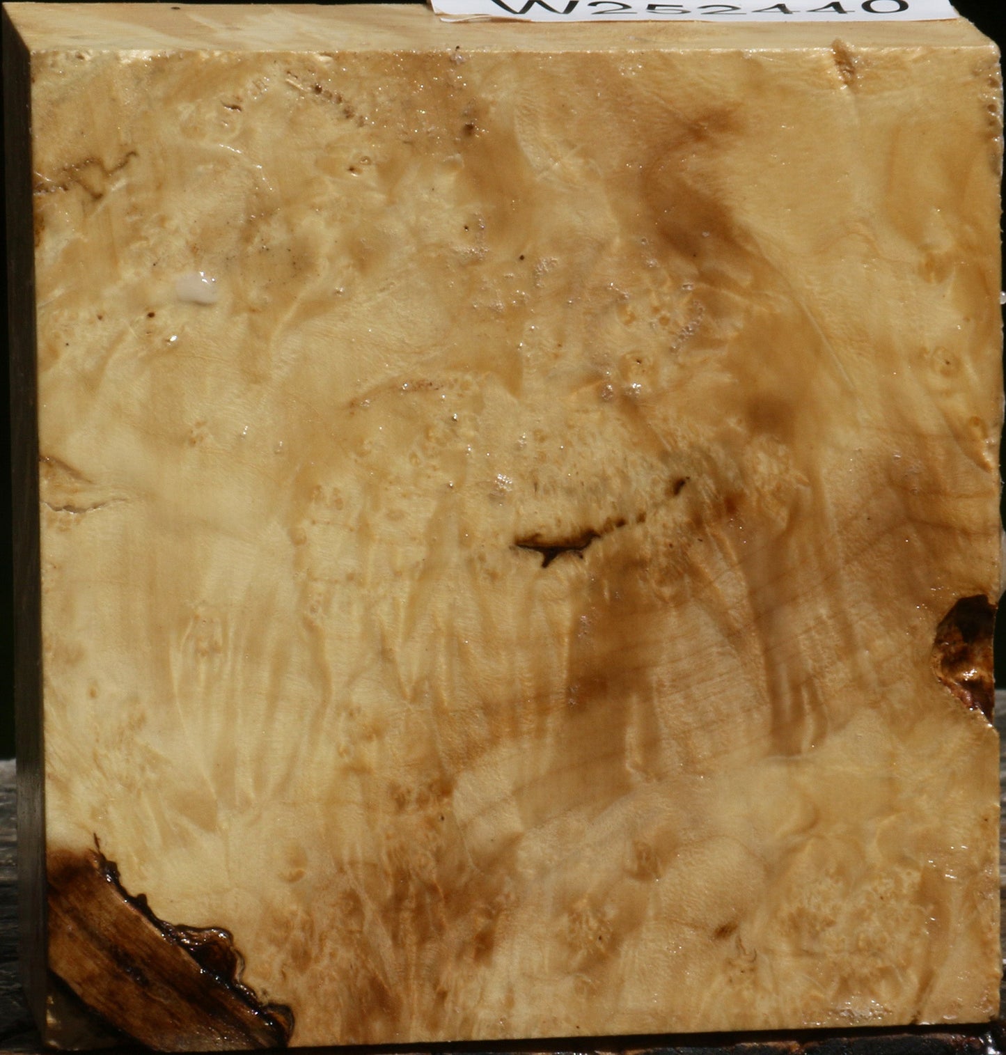 Box Elder Burl Bowl Blank
