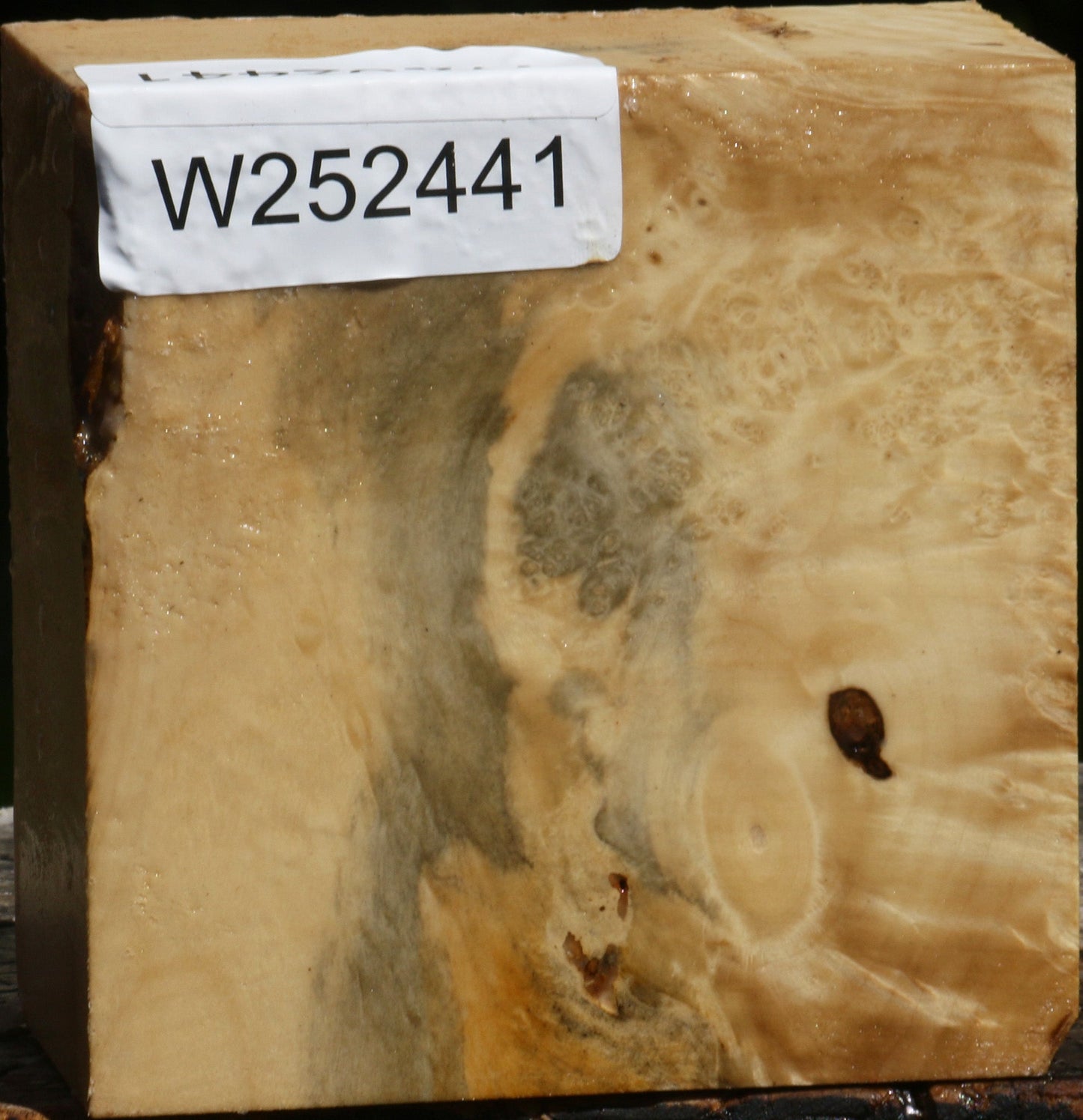 Box Elder Burl Bowl Blank
