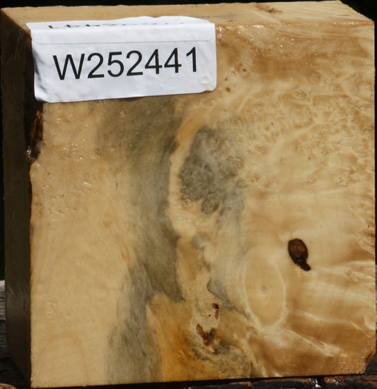 Box Elder Burl Bowl Blank