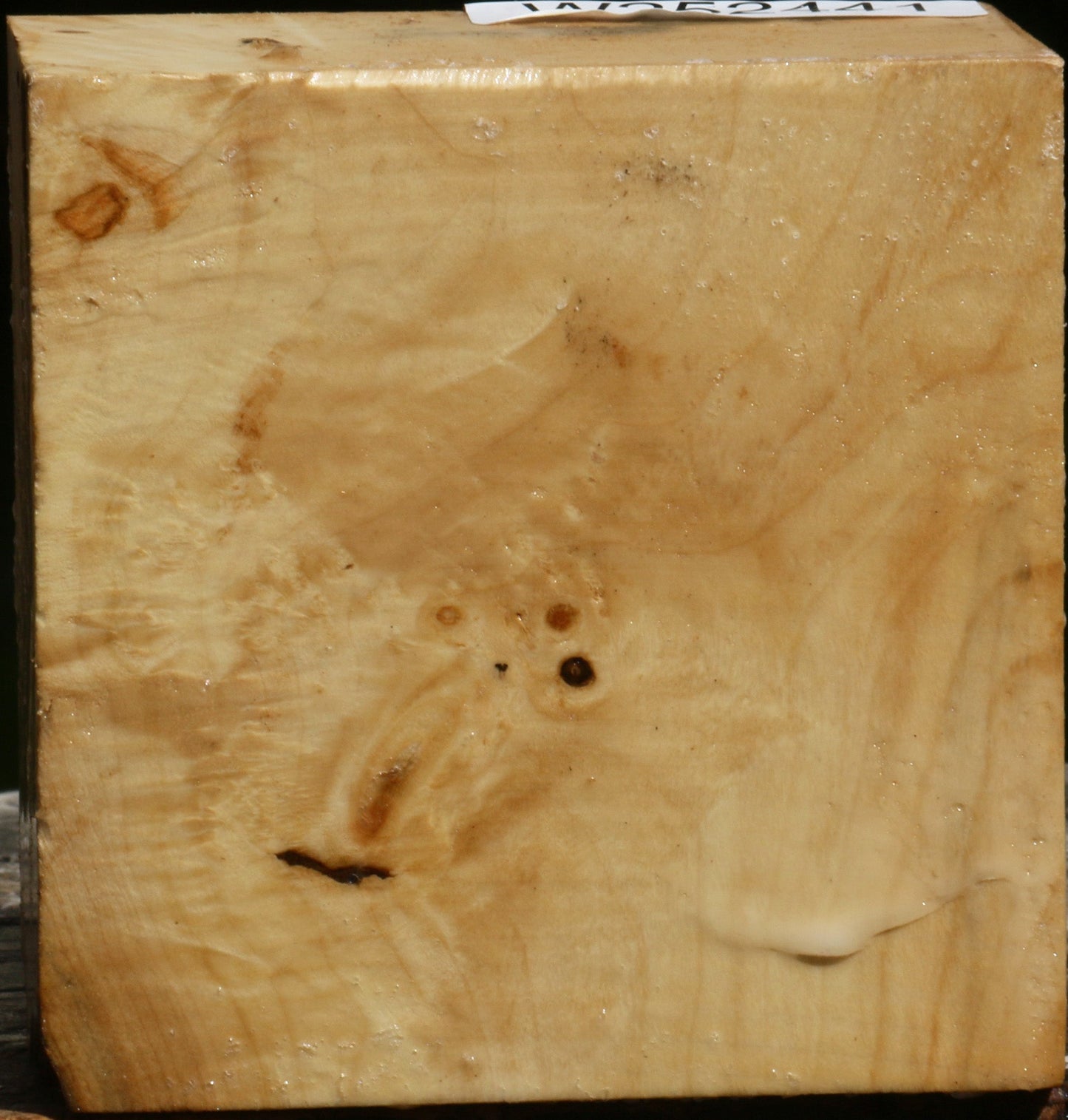 Box Elder Burl Bowl Blank
