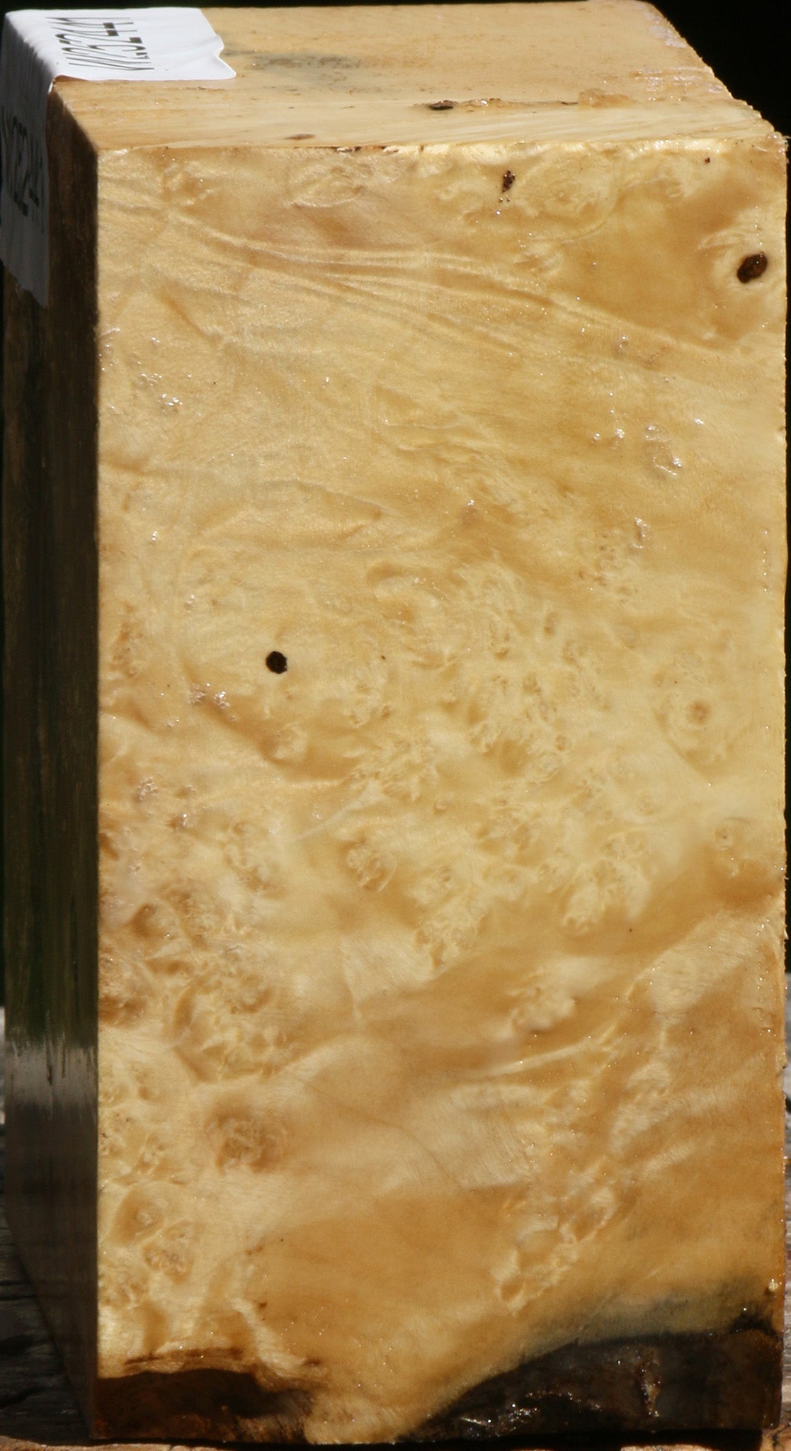 Box Elder Burl Bowl Blank