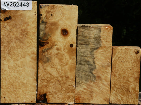 Box Elder Turning Blank 4 Pack