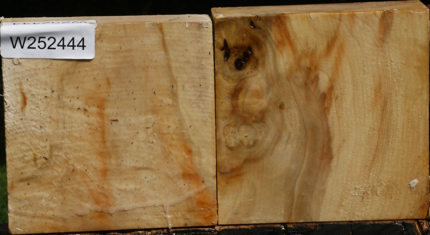 Box Elder Bowl Blank 2 Pack