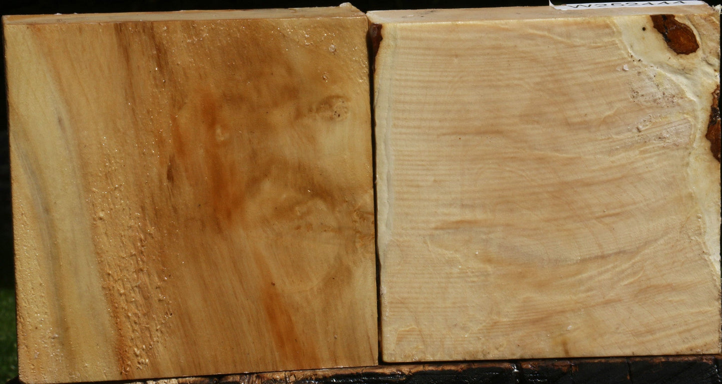 Box Elder Bowl Blank 2 Pack