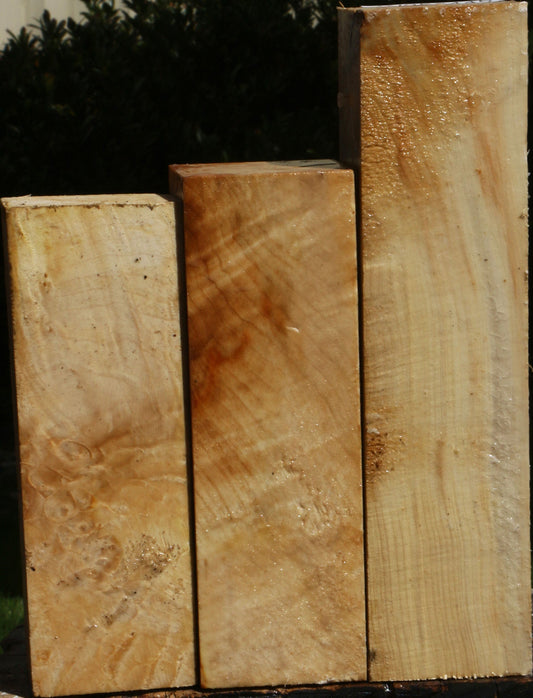Box Elder Turning Square 3 Pack