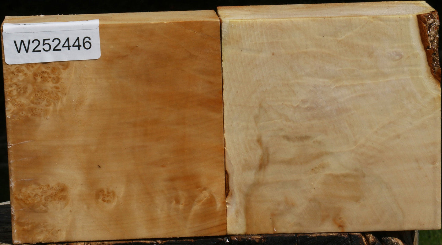 Figured Box Elder Bowl Blank 2 Pack