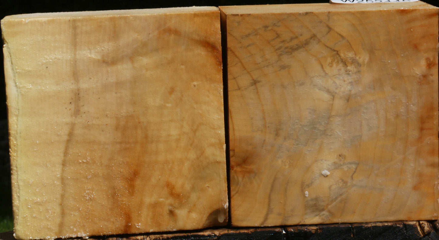 Figured Box Elder Bowl Blank 2 Pack