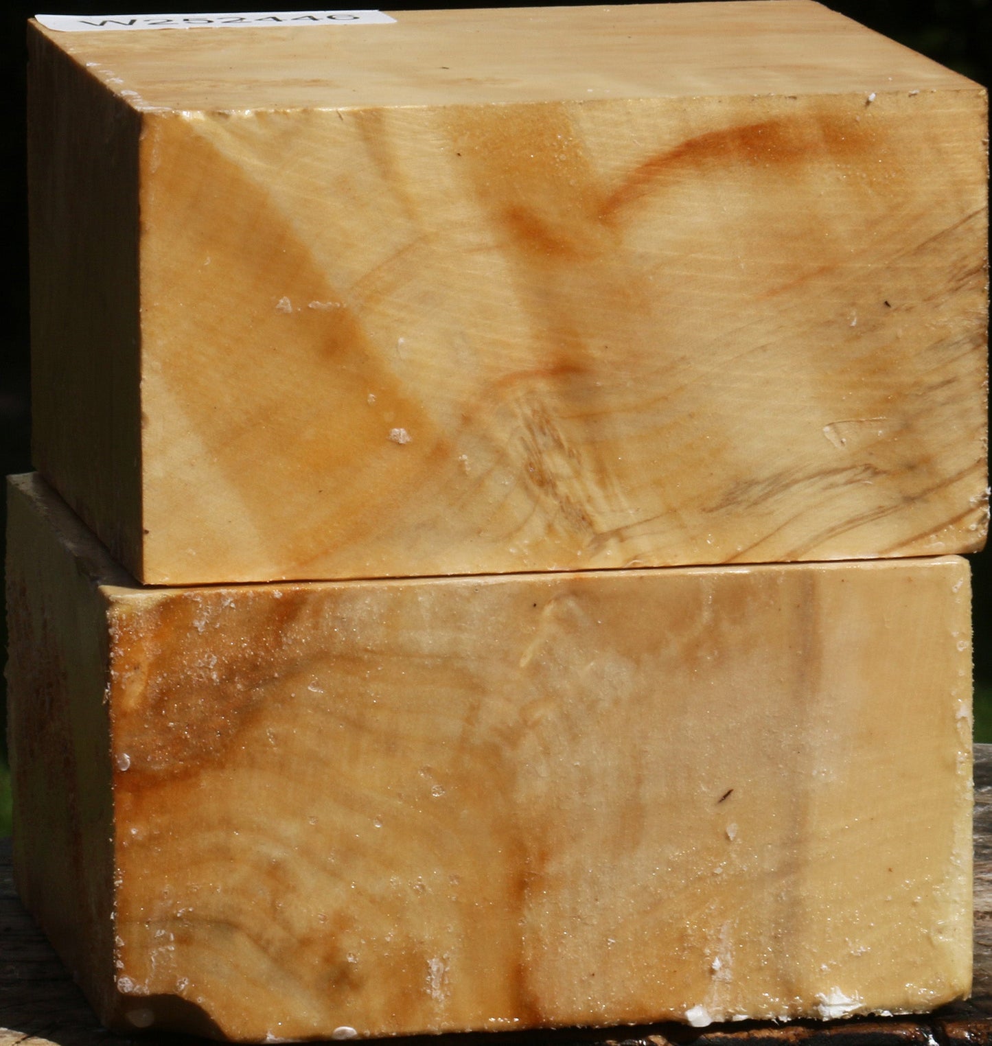 Figured Box Elder Bowl Blank 2 Pack