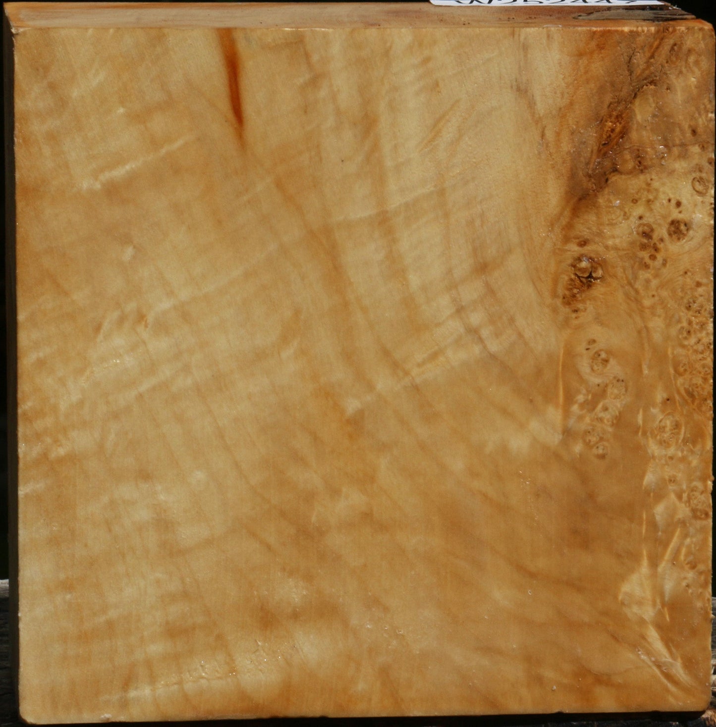 Figured Box Elder Bowl Blank