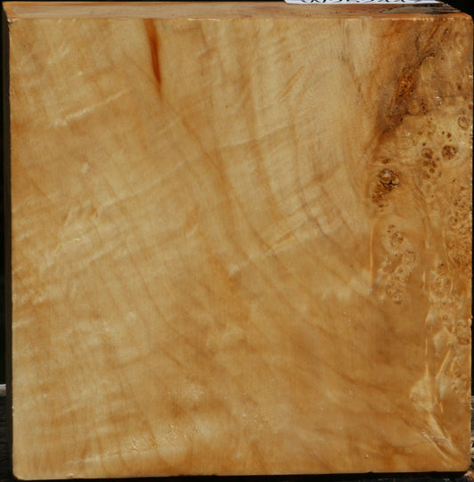 Figured Box Elder Bowl Blank
