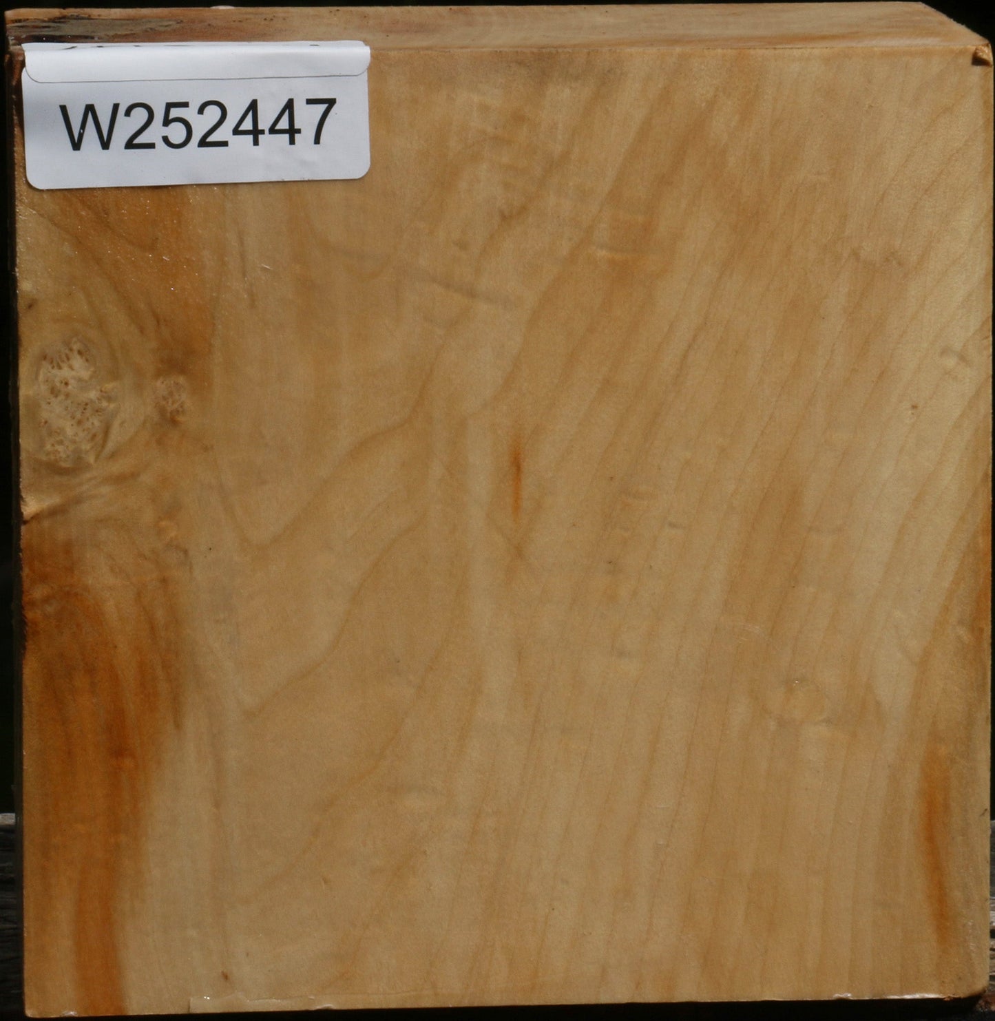 Figured Box Elder Bowl Blank