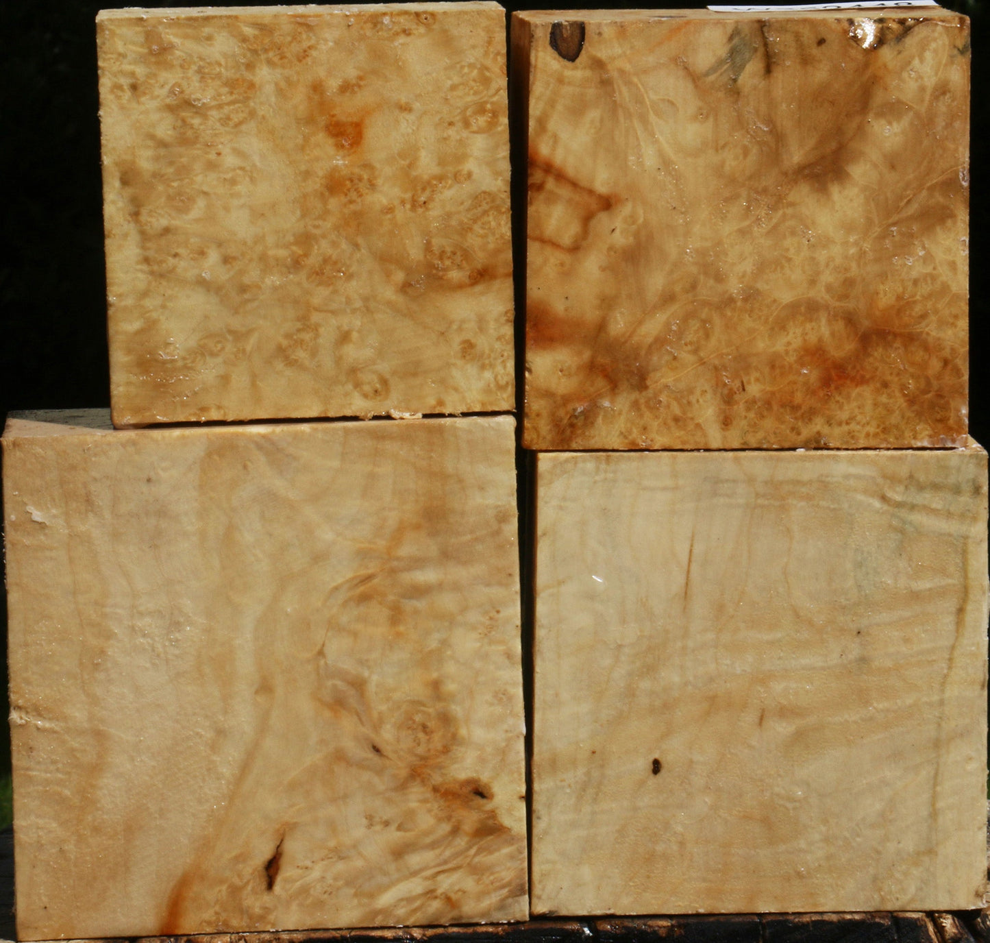 Box Elder Bowl Blank 4 Pack
