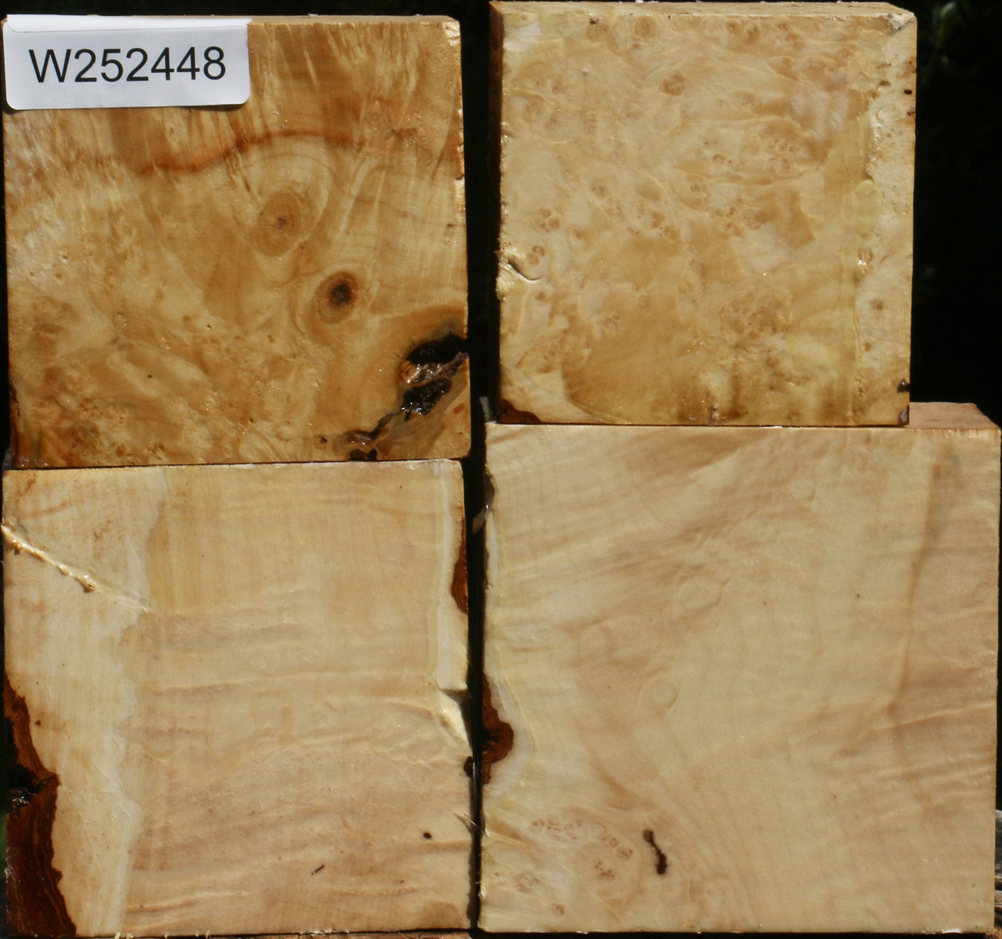 Box Elder Bowl Blank 4 Pack