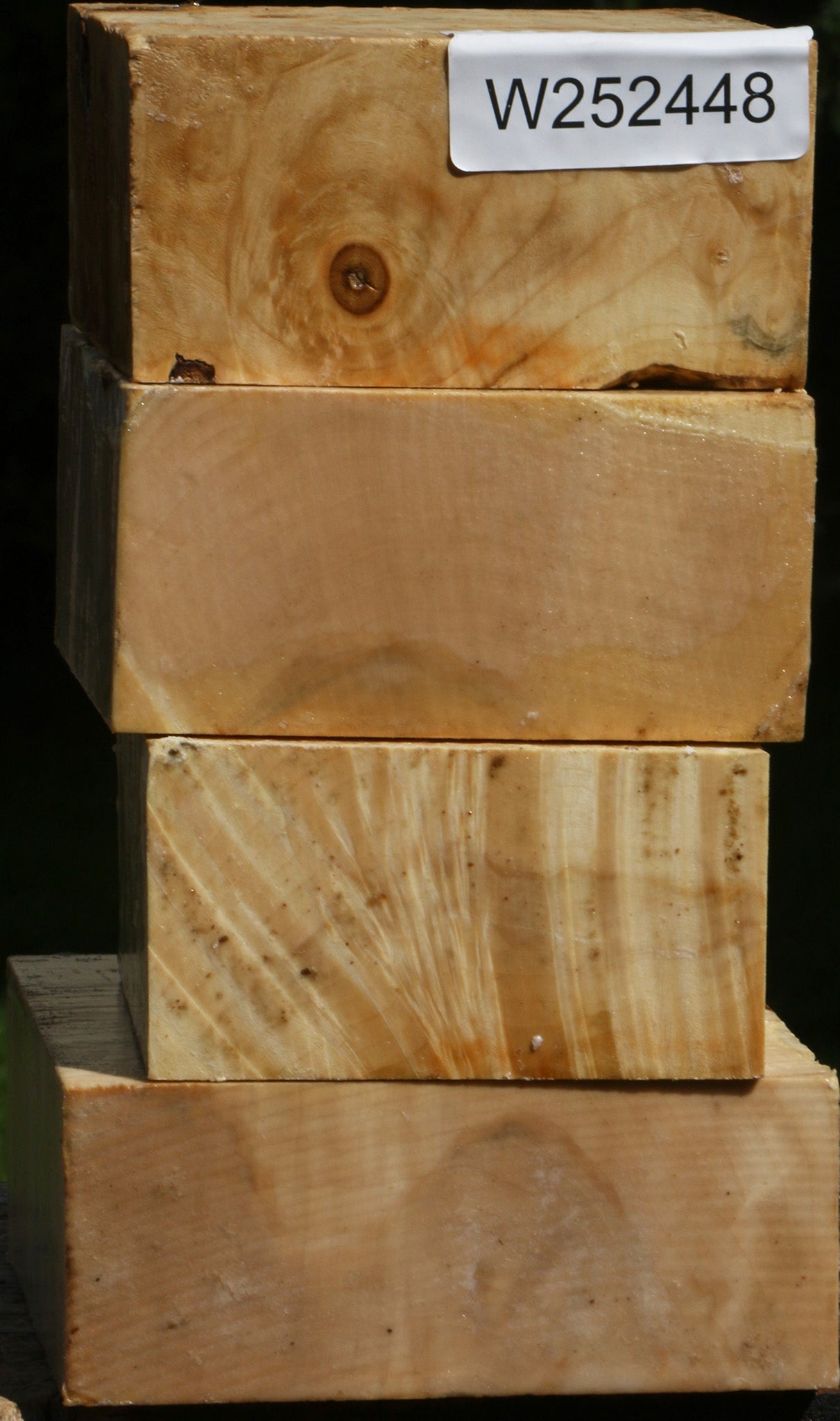 Box Elder Bowl Blank 4 Pack