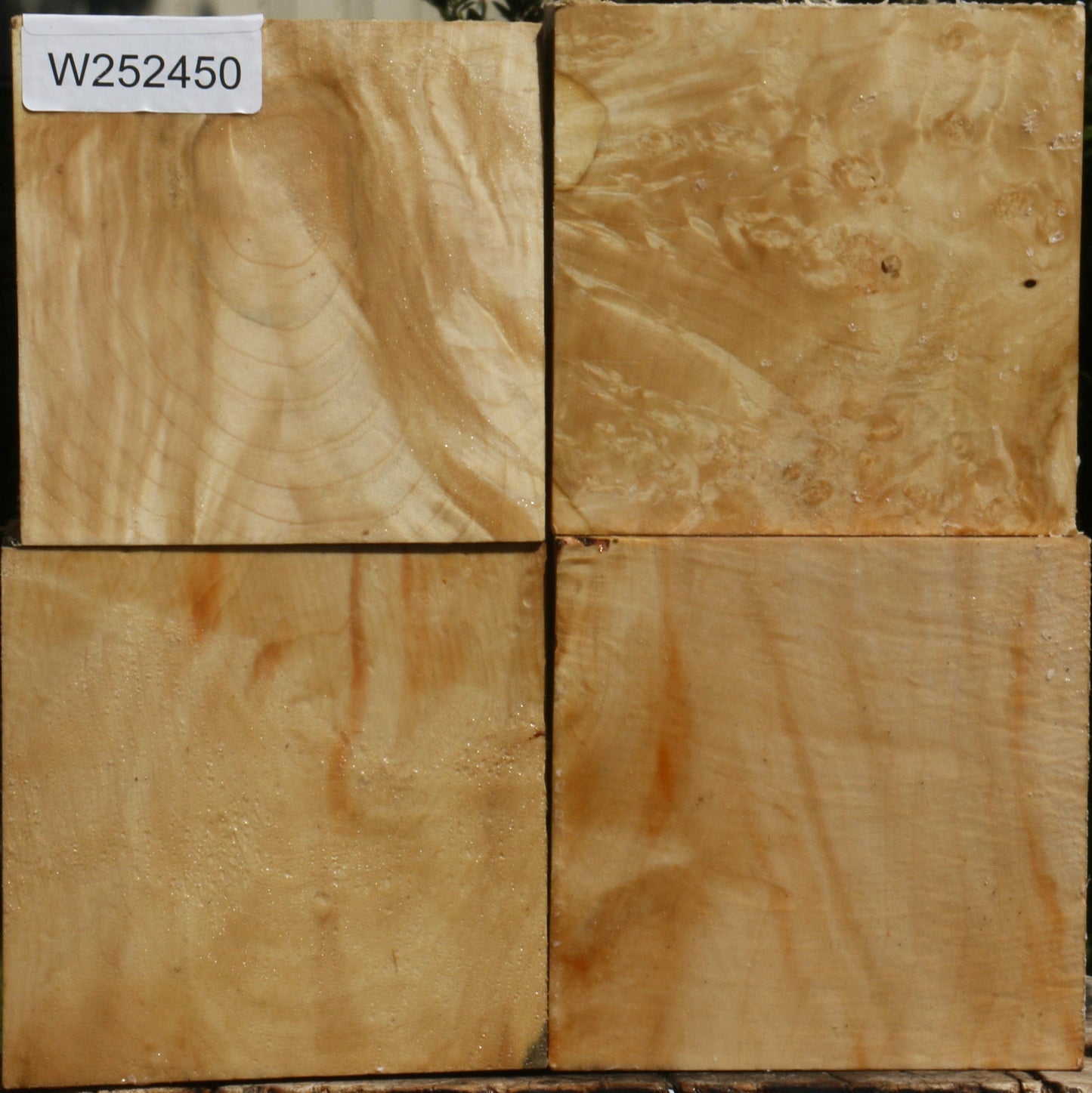 Box Elder Bowl Blank 4 Pack