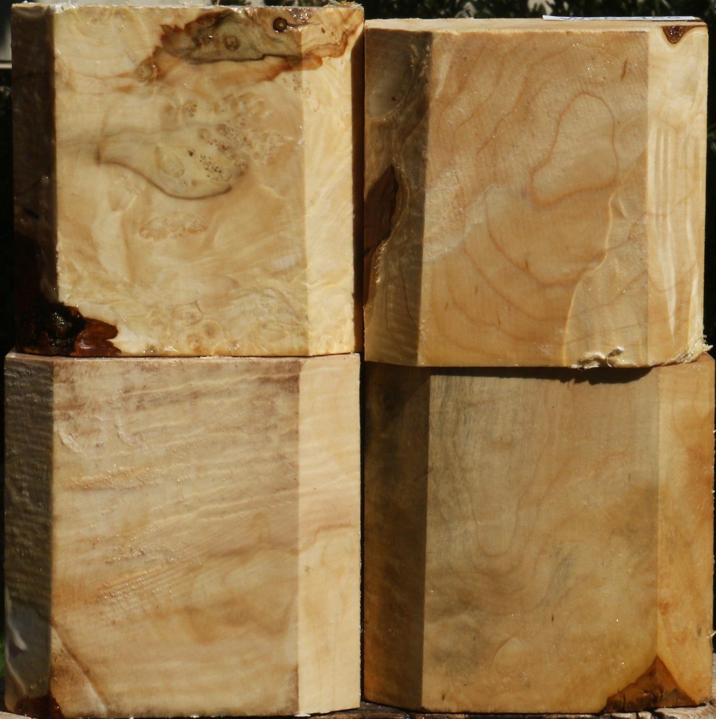 Box Elder Bowl Blank 4 Pack