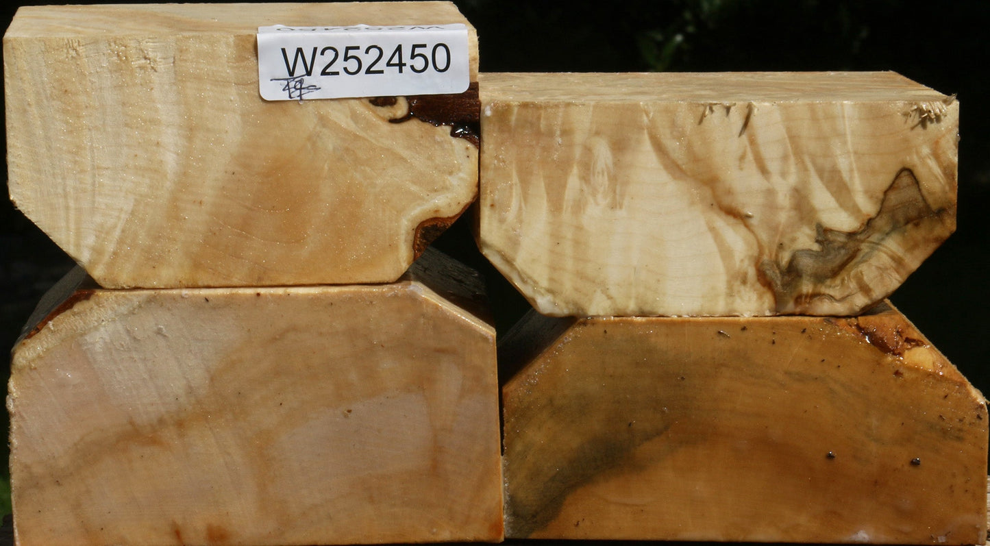 Box Elder Bowl Blank 4 Pack