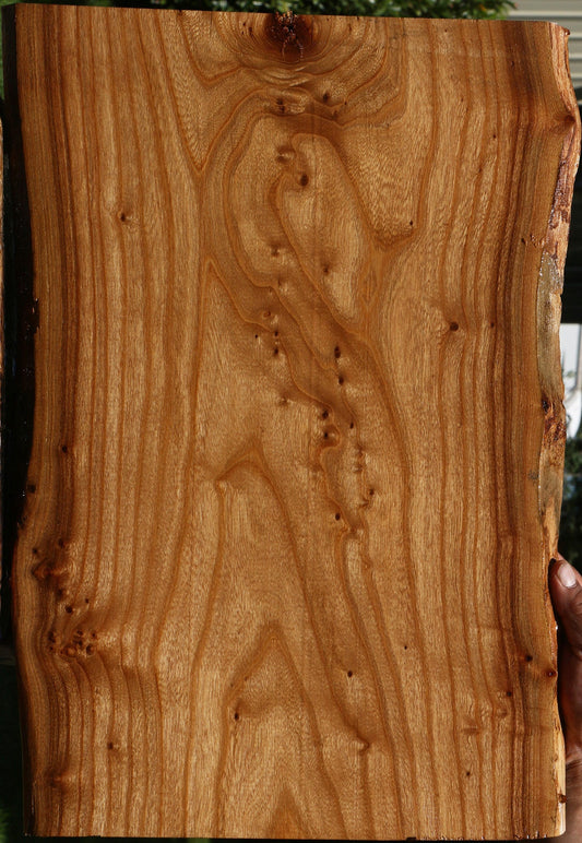 Siberian Elm Live Edge Lumber