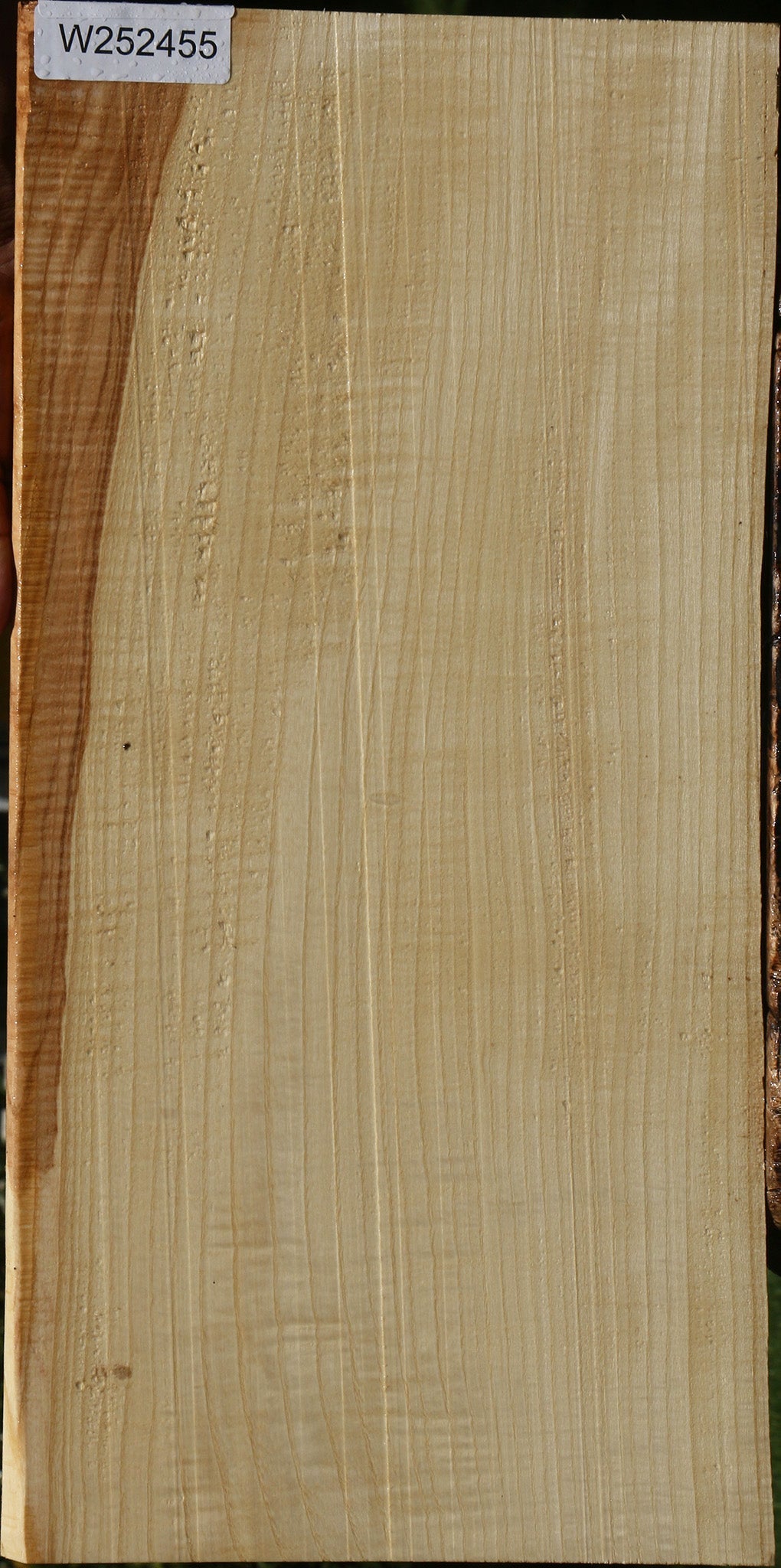 Figured Modesto Ash Live Edge Lumber