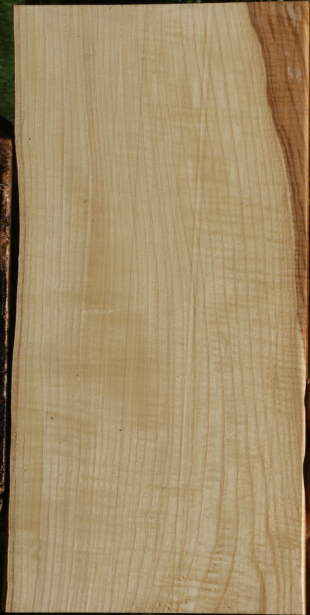 Figured Modesto Ash Live Edge Lumber