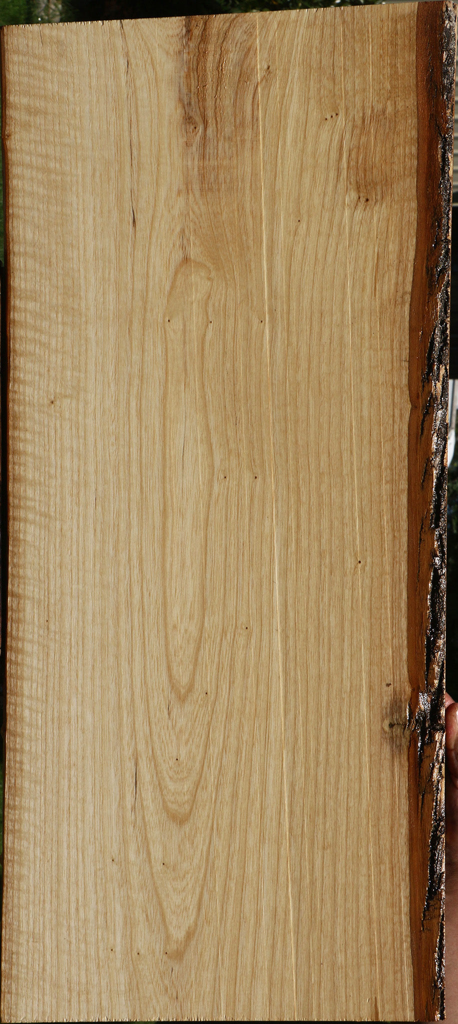 Catalpa Live Edge Lumber