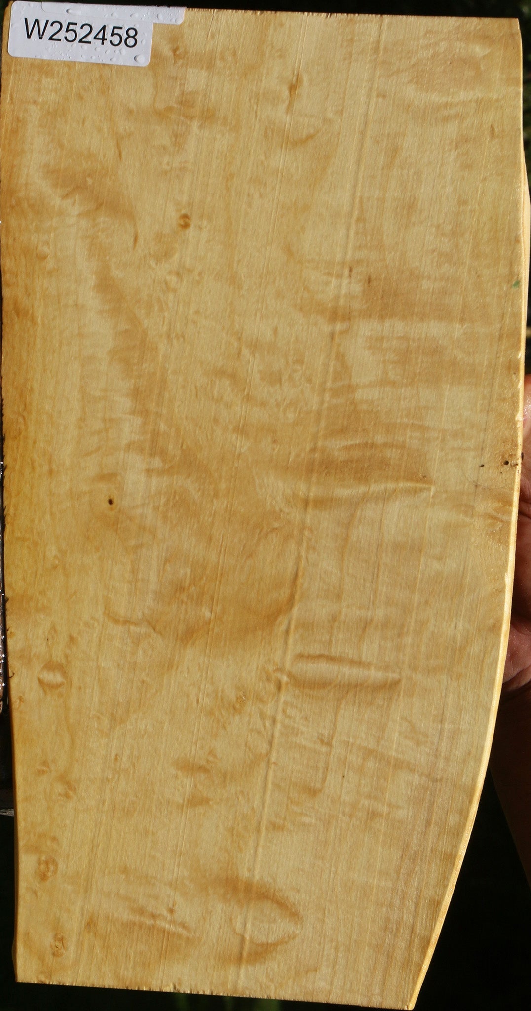 Extra Fancy Box Elder Live Edge Lumber