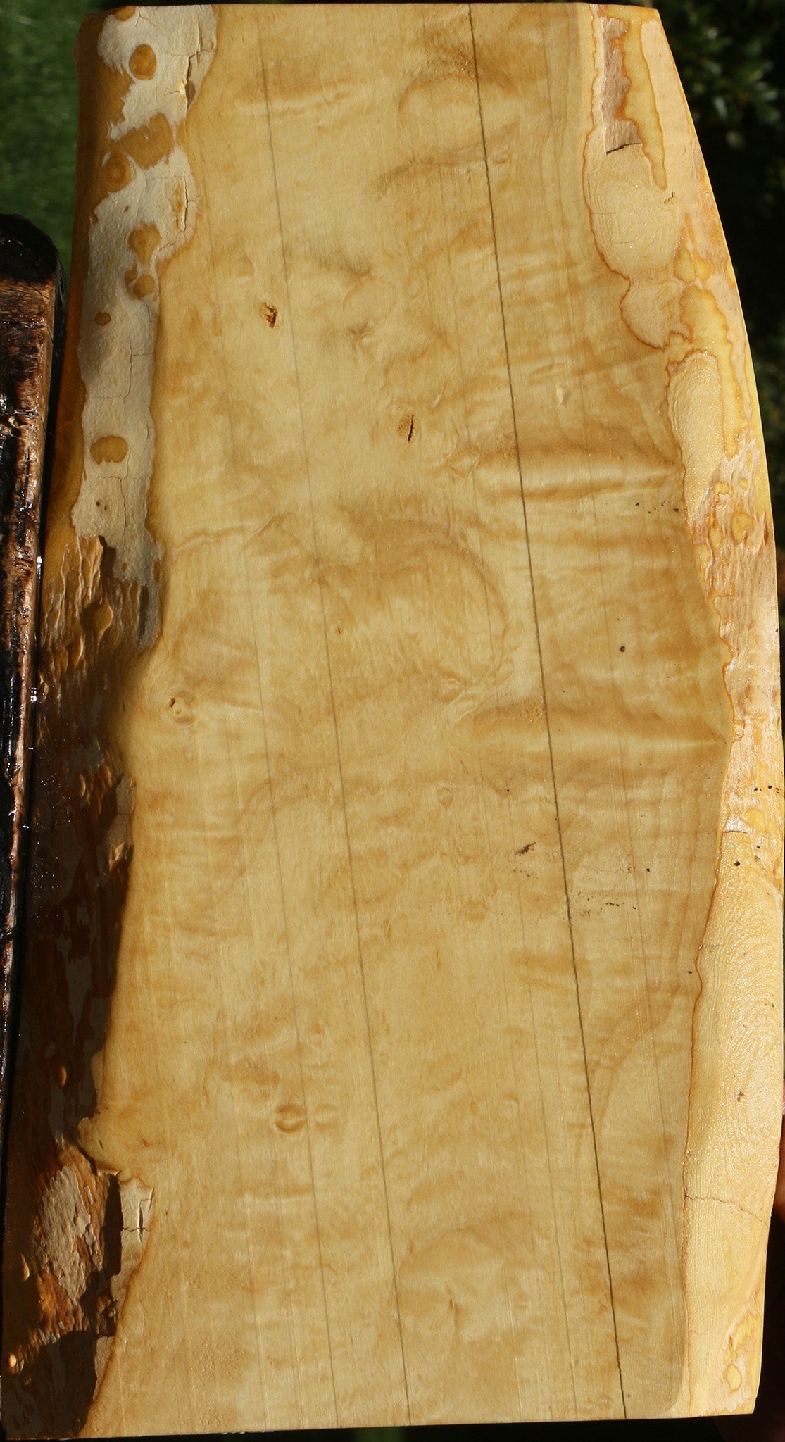 Extra Fancy Box Elder Live Edge Lumber