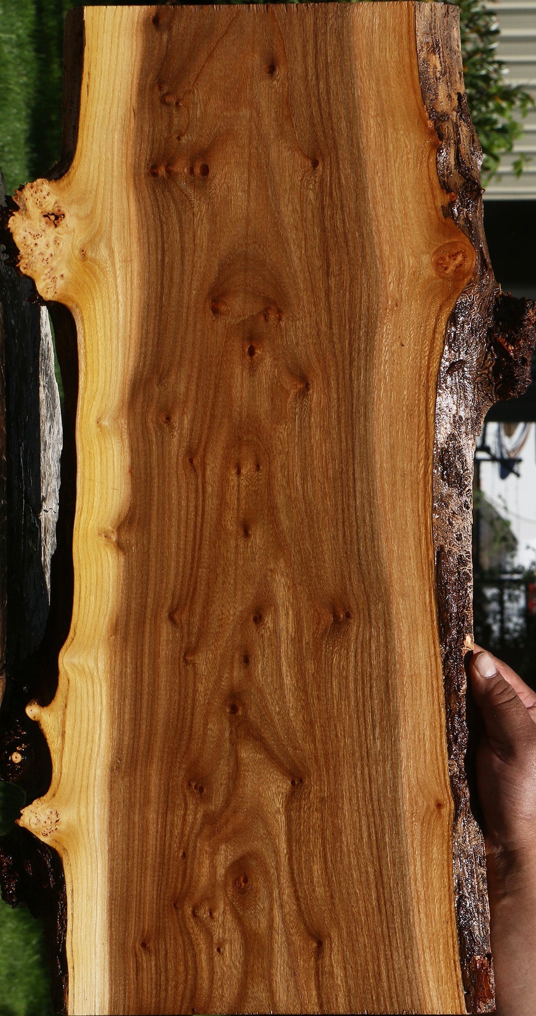 Figured Siberian Elm Live Edge Lumber