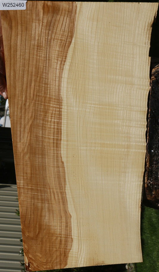 Extra Fancy Modesto Ash Live Edge Lumber