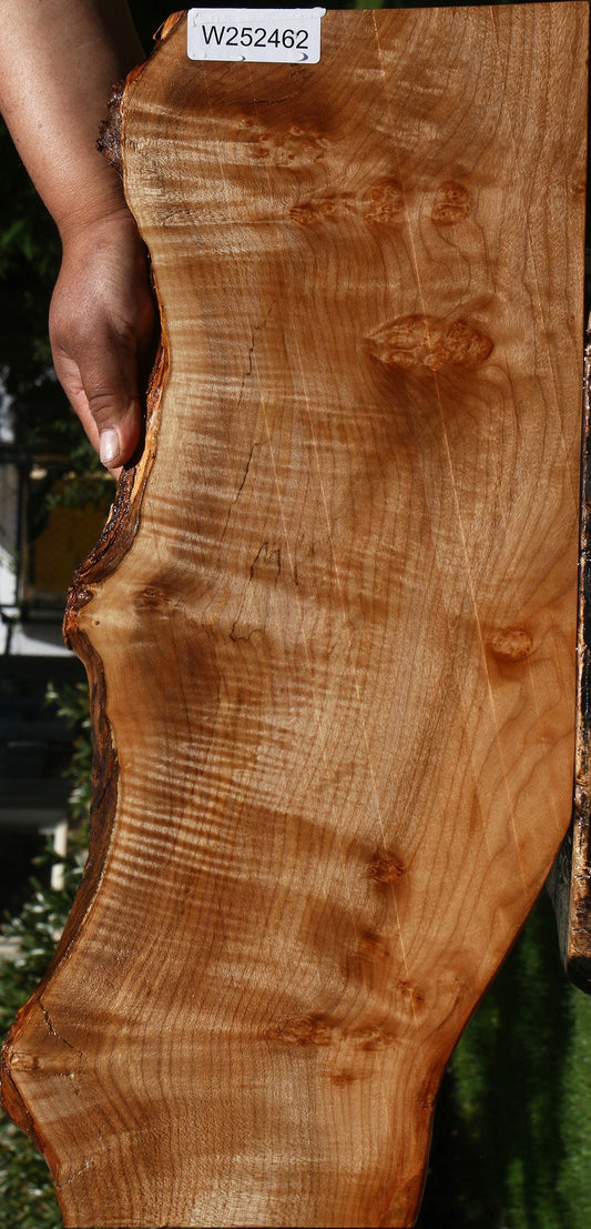 Extra Fancy Maple Live Edge Lumber