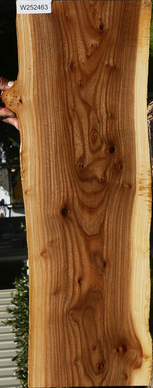 Figured Siberian Elm Live Edge Lumber