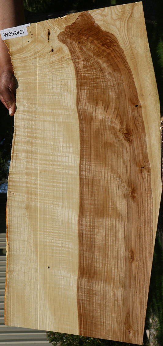 Extra Fancy Modesto Ash Live Edge Micro Lumber