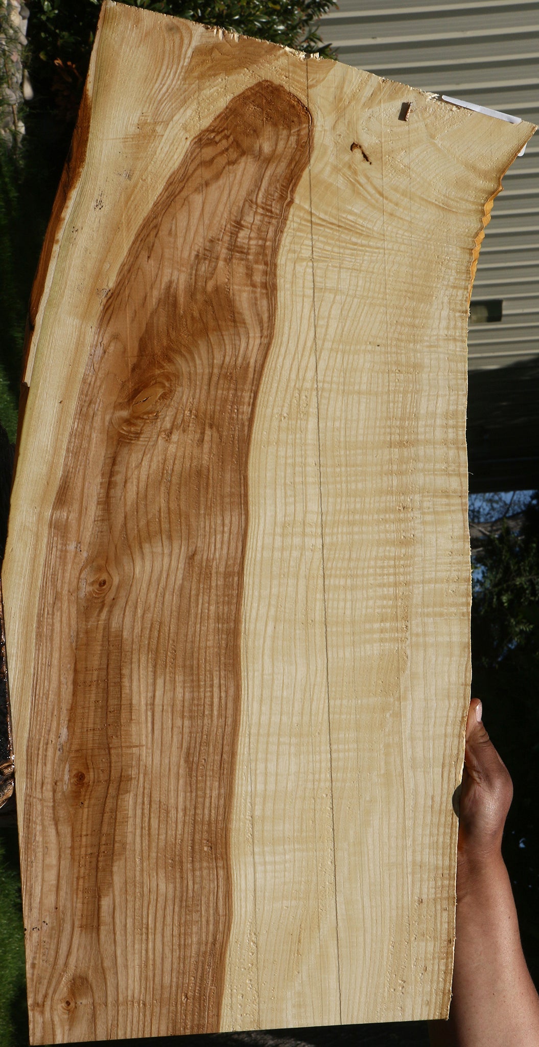 Extra Fancy Modesto Ash Live Edge Micro Lumber