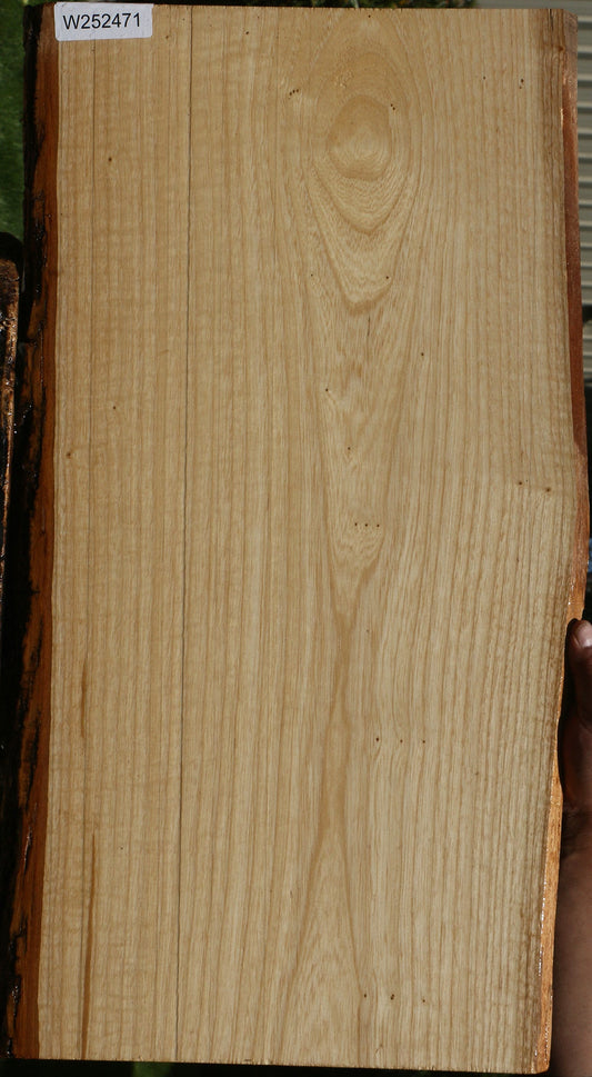 Catalpa Live Edge Lumber