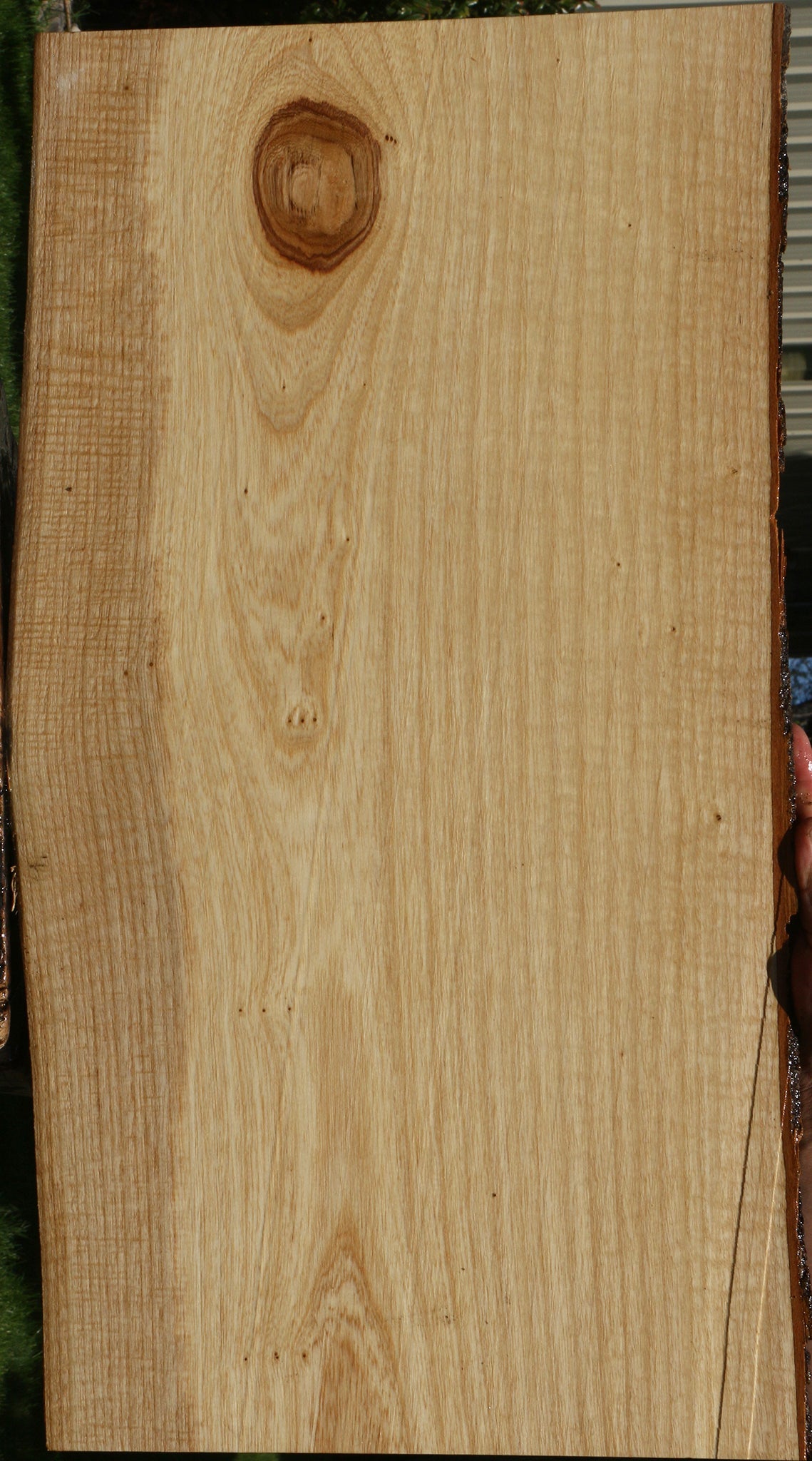 Catalpa Live Edge Lumber