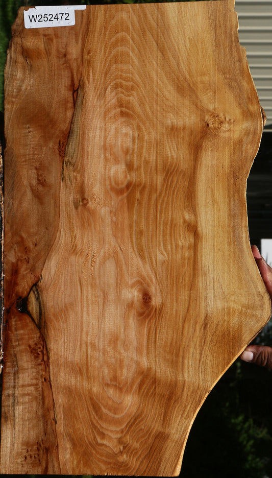 Extra Fancy Maple Live Edge Lumber