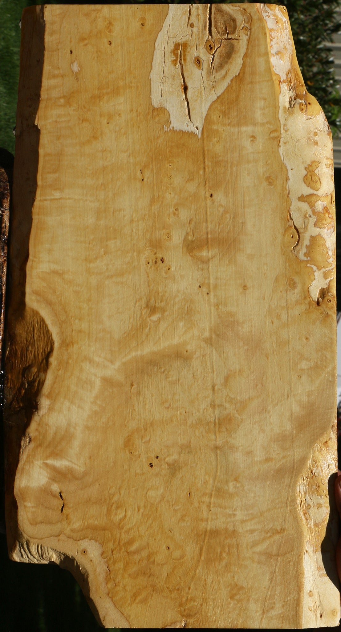 Extra Fancy Box Elder Live Edge Lumber