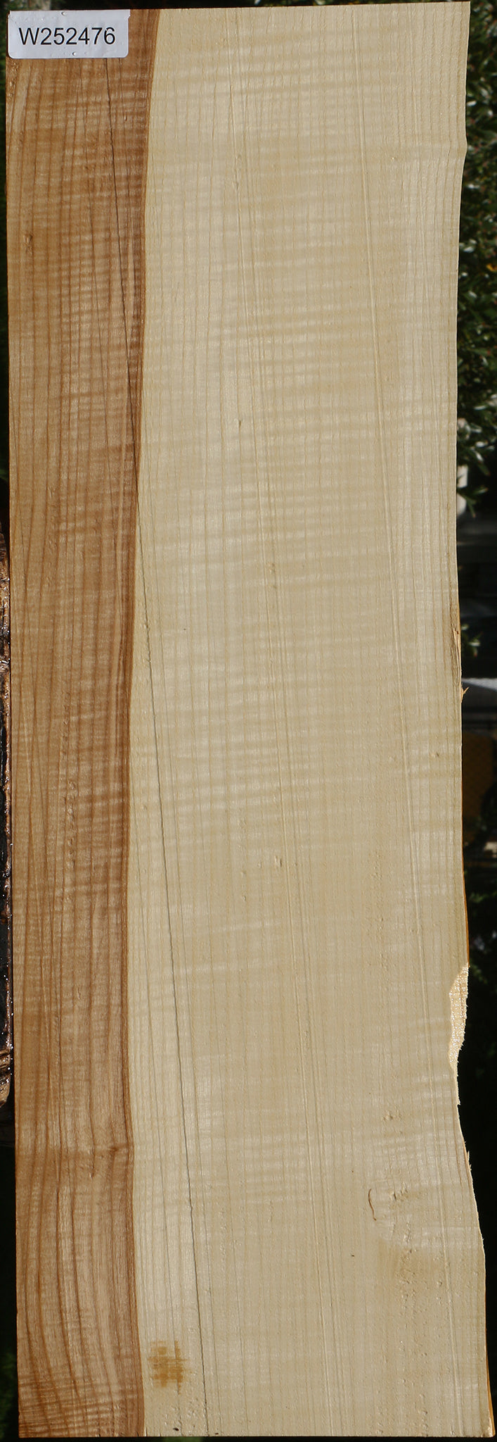 Extra Fancy Quartersawn Modesto Ash Lumber