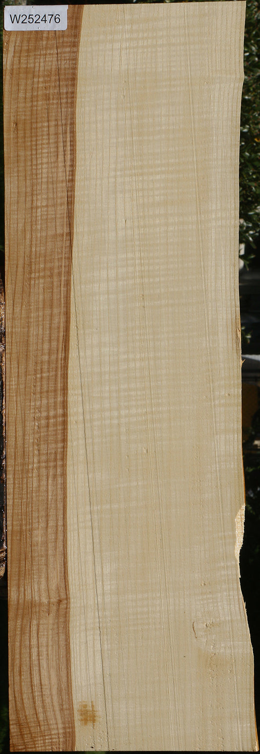 Extra Fancy Quartersawn Modesto Ash Lumber