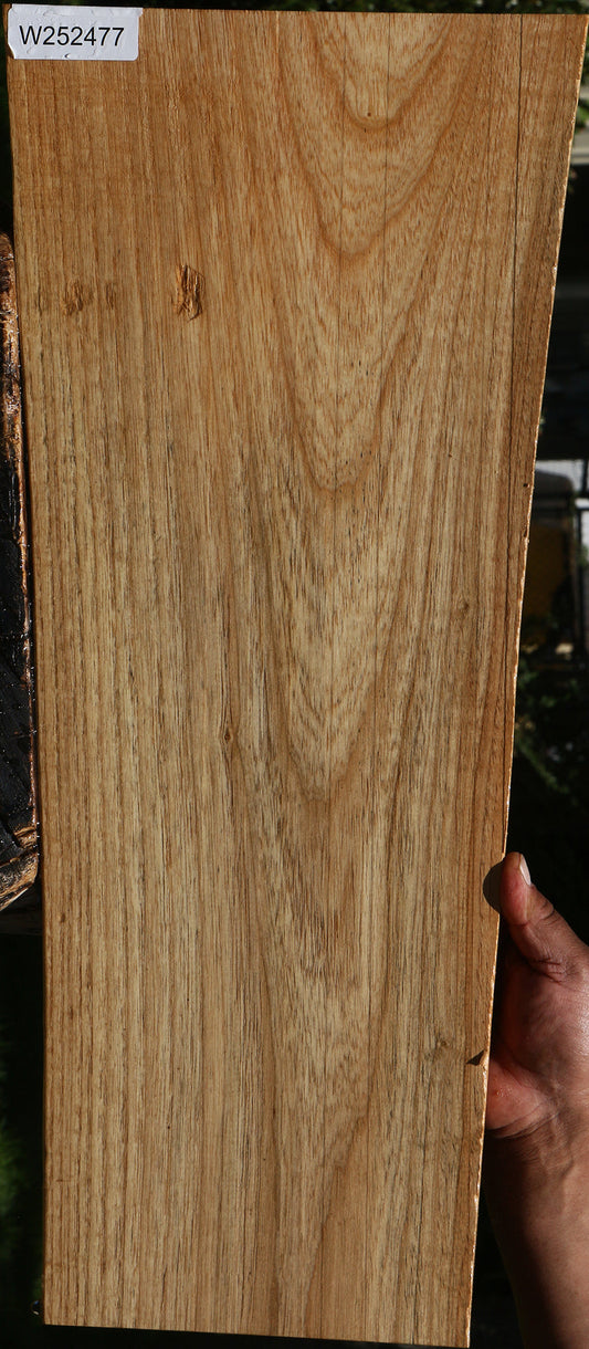 Catalpa Live Edge Lumber