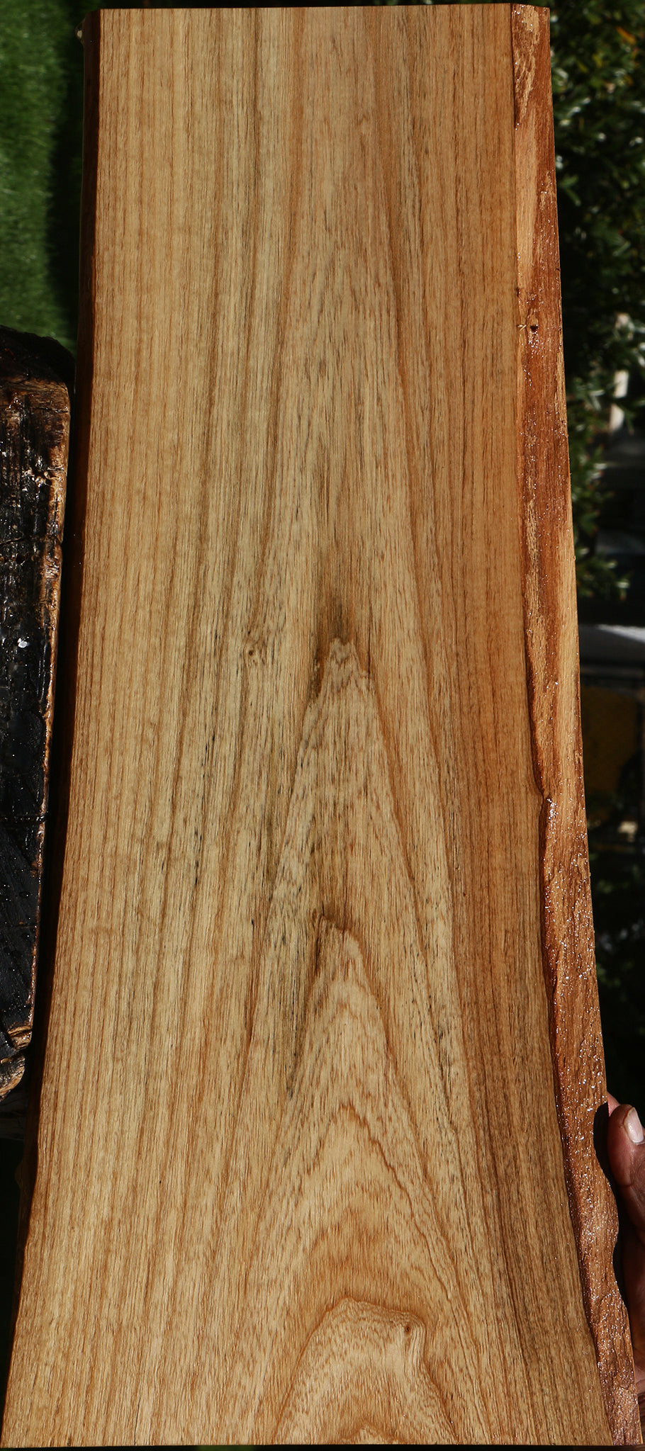 Catalpa Live Edge Lumber