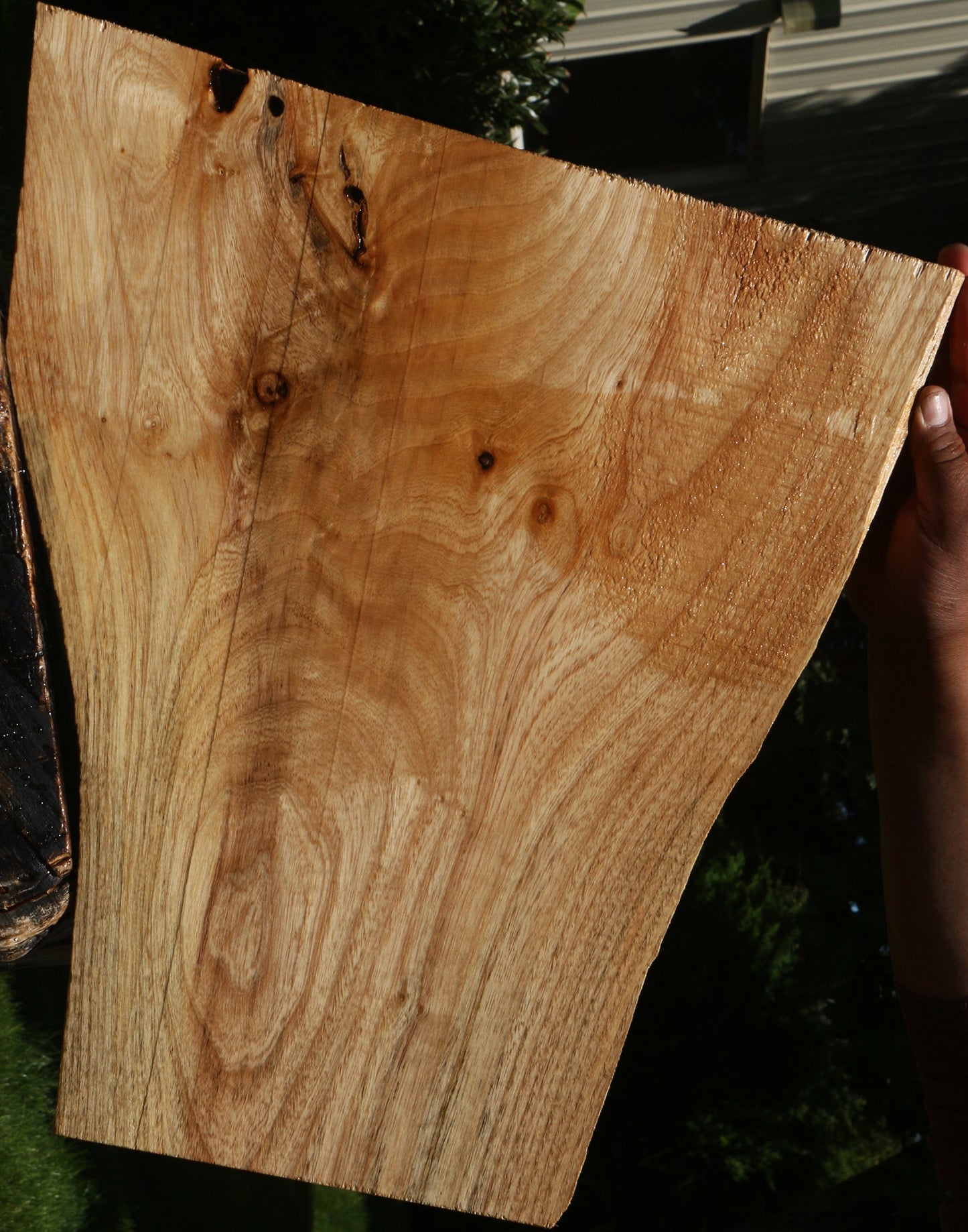 Extra Fancy Catalpa Live Edge Lumber