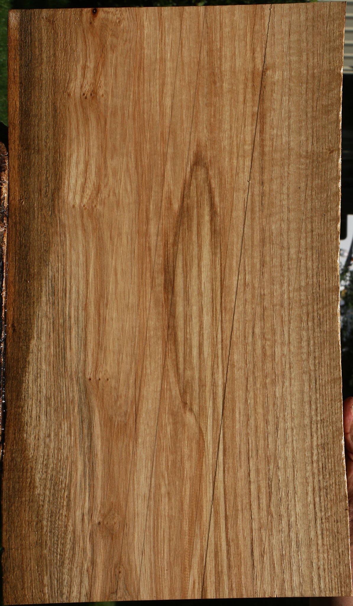 Catalpa Live Edge Lumber