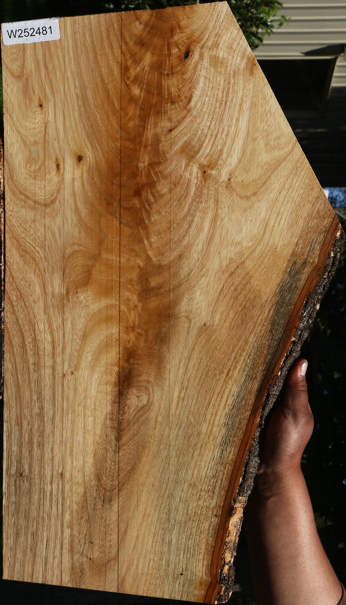 Extra Fancy Catalpa Live Edge Lumber
