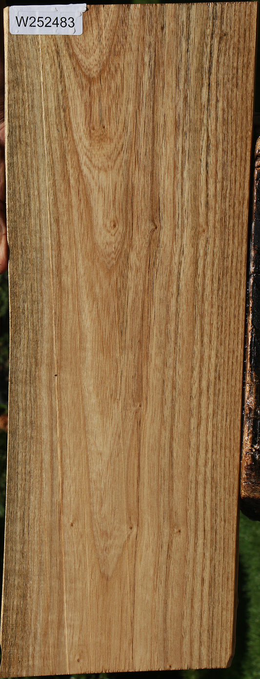 Catalpa Live Edge Lumber
