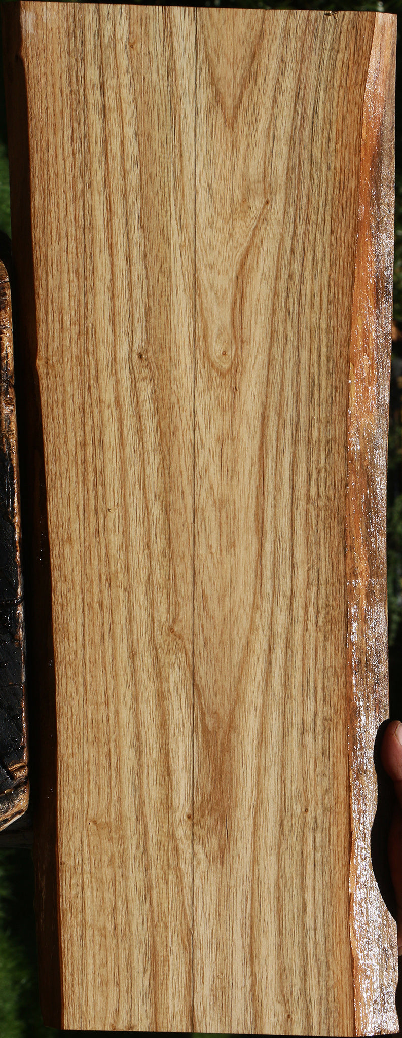 Catalpa Live Edge Lumber