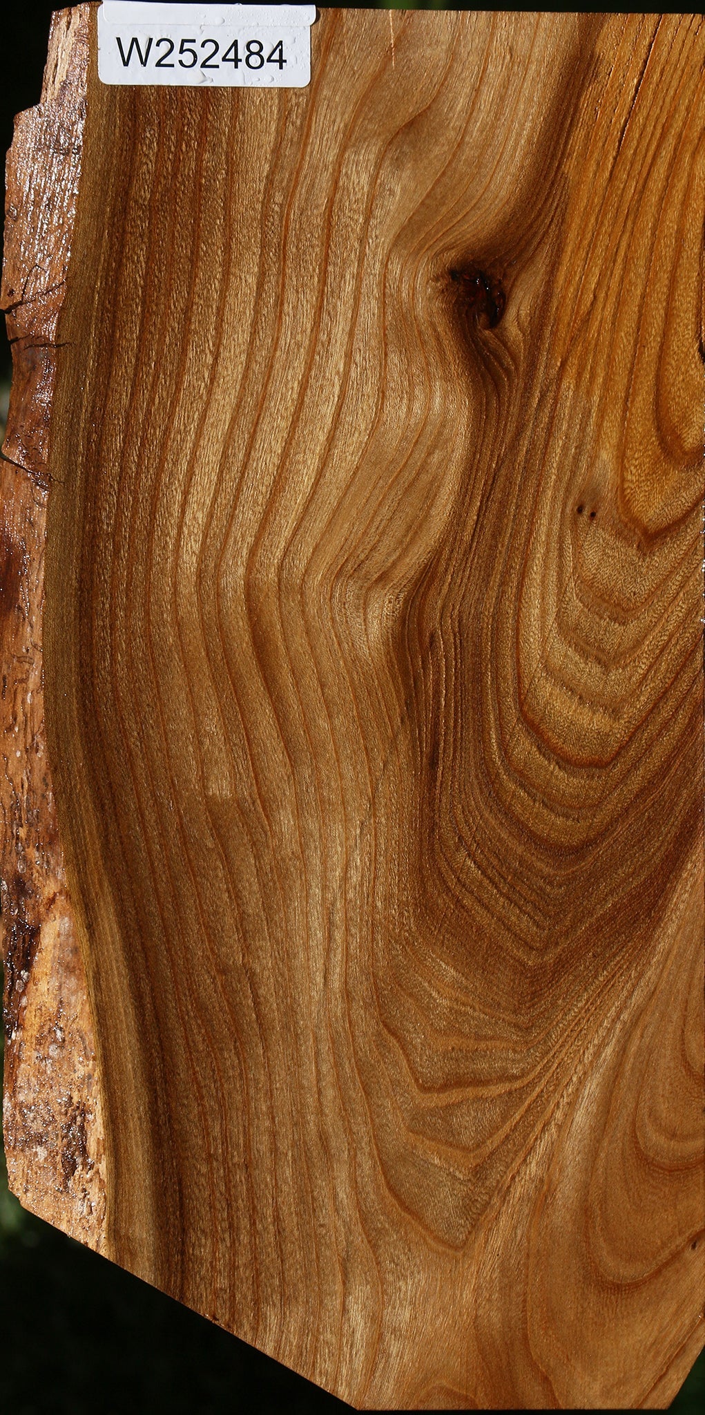 Elm Live Edge Lumber