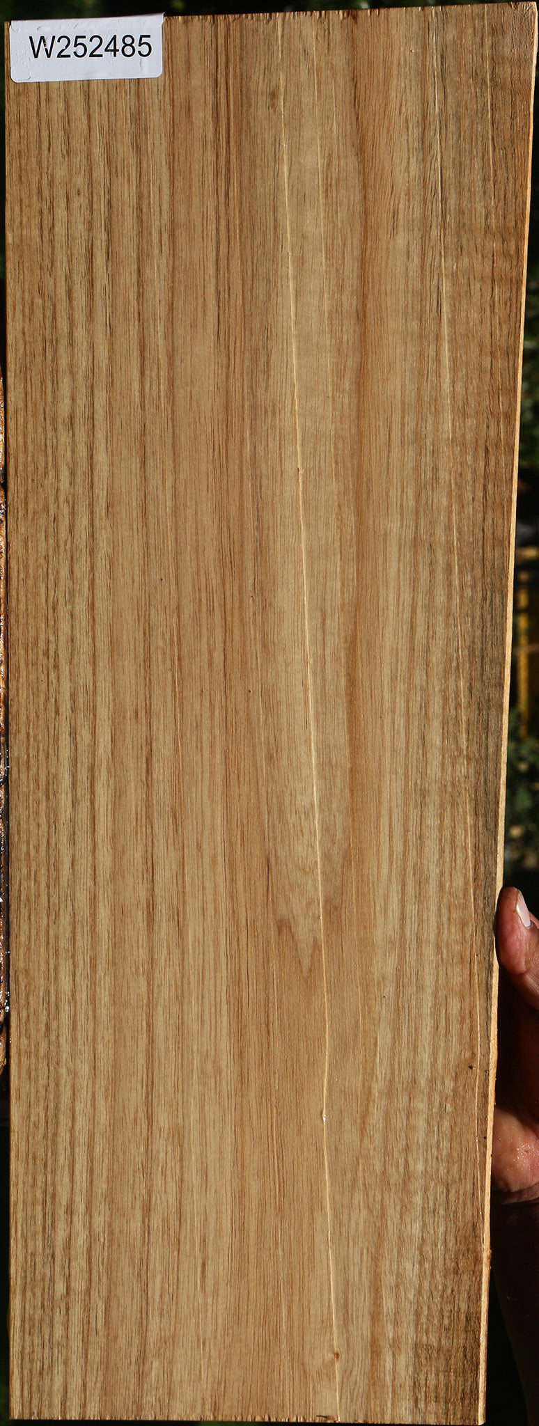 Catalpa Live Edge Lumber