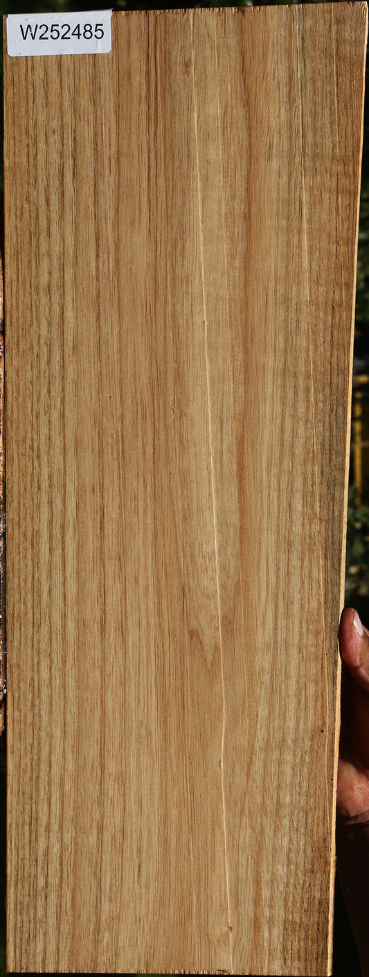 Catalpa Live Edge Lumber