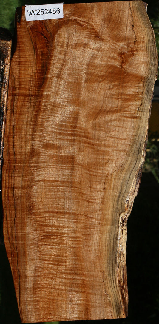 Extra Fancy Maple Live Edge Lumber